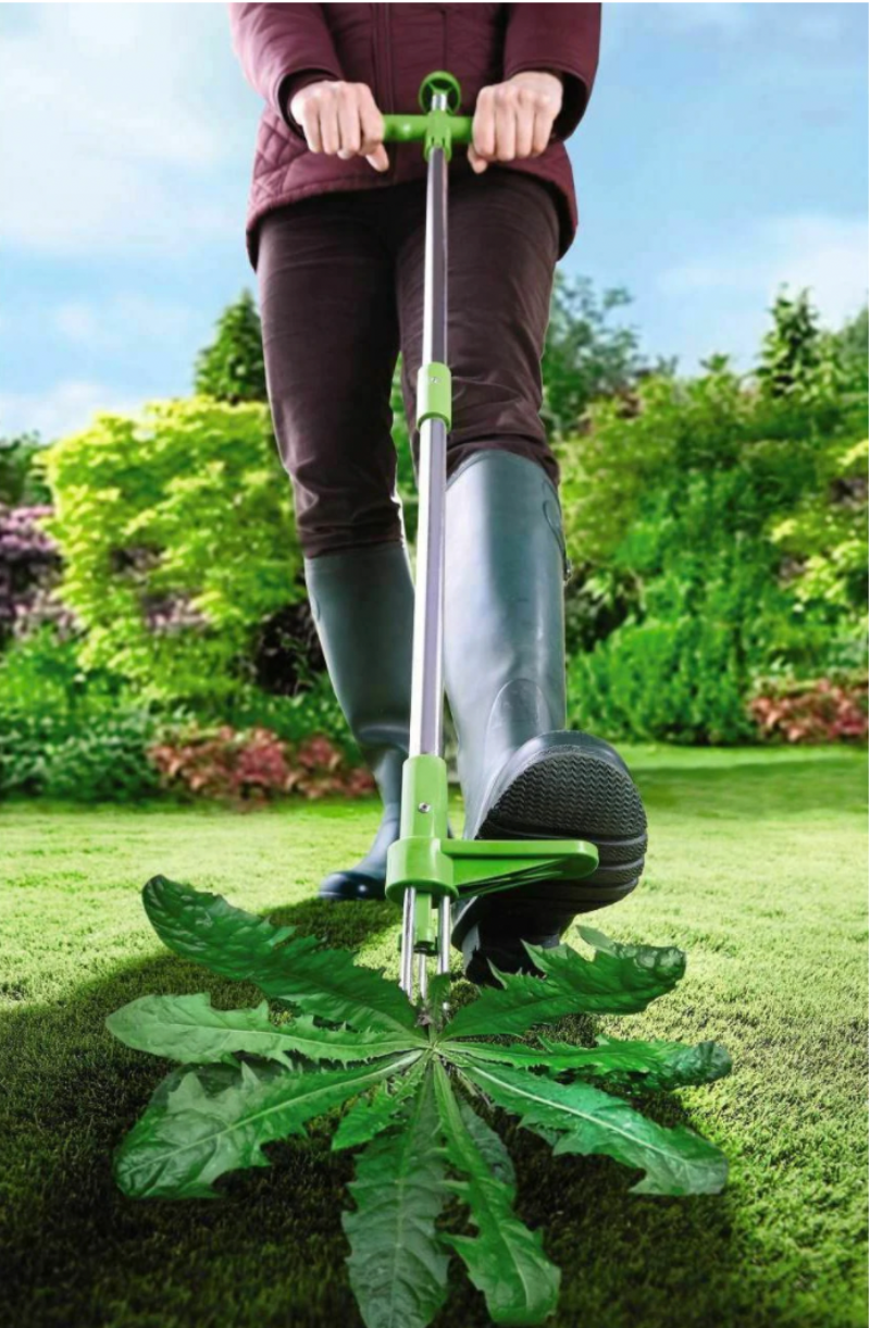 Weed remover - Removes grass roots in the garden