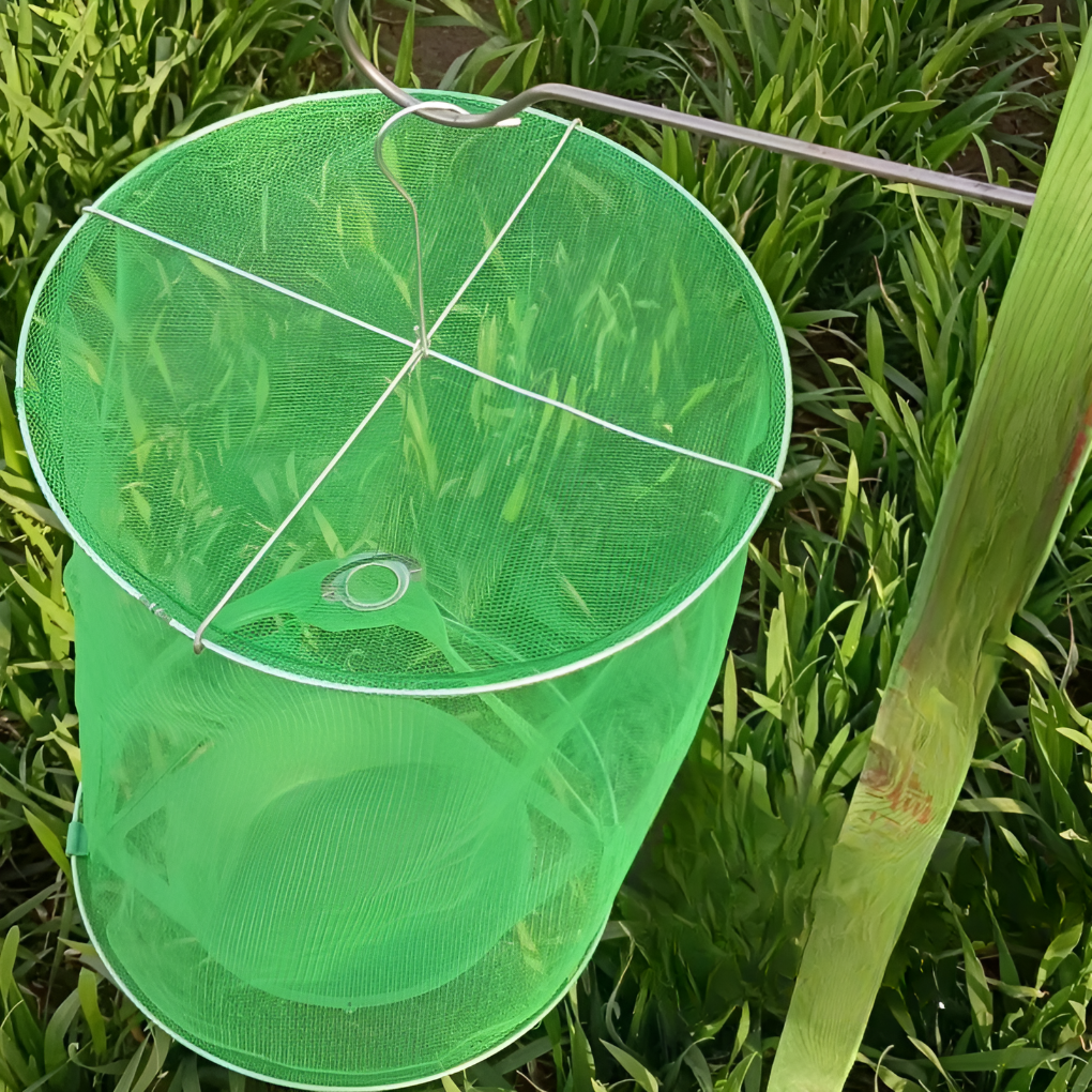 Stackable fly trap