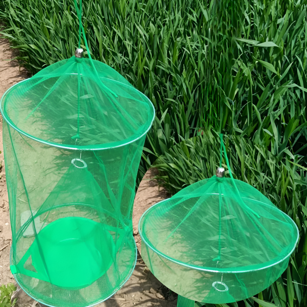 Stackable fly trap