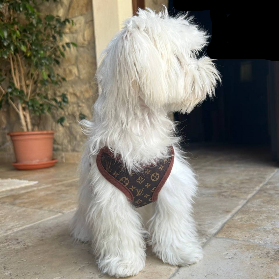 Sele- og Bånd-sett – PawLuxe