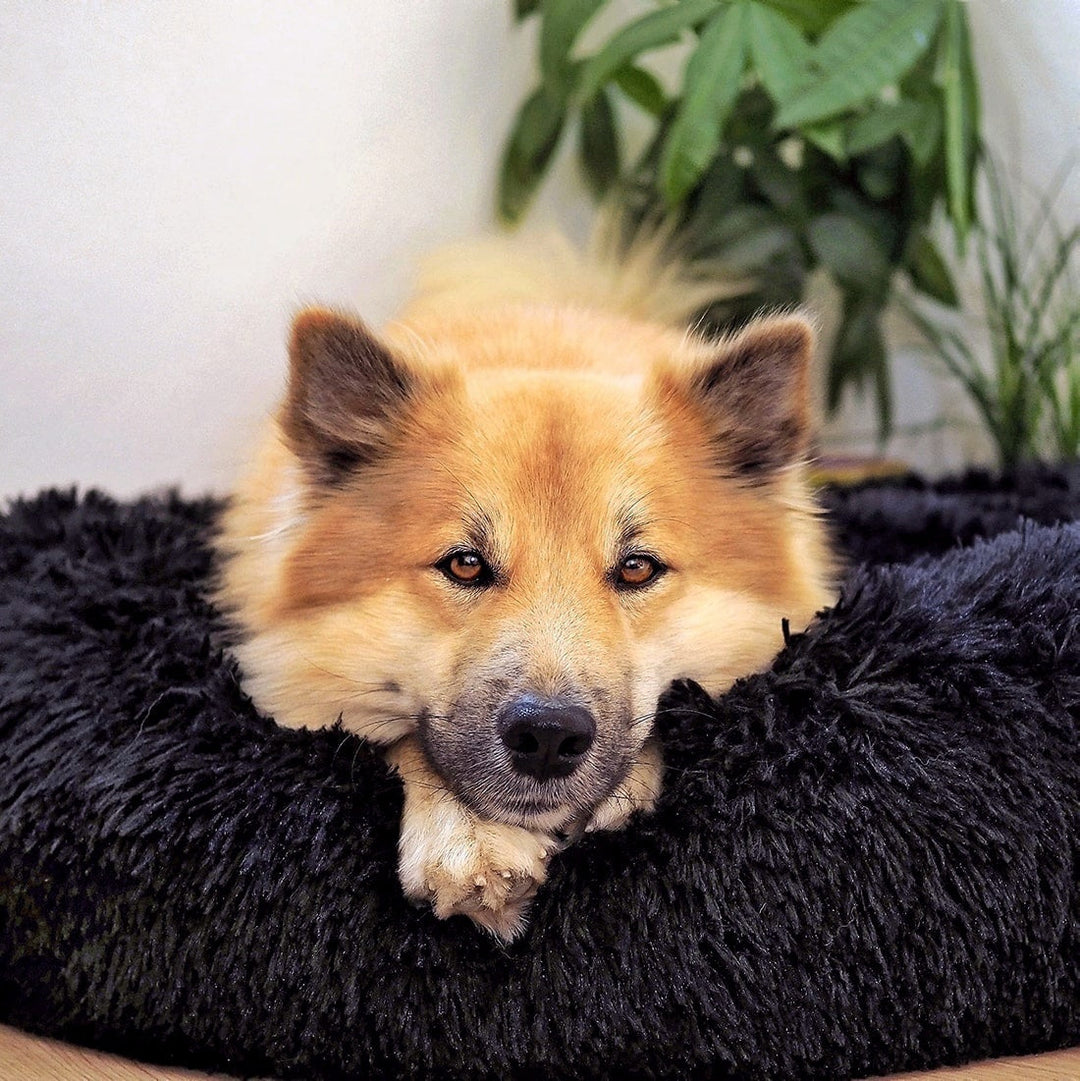 Fluffy Plus hundeseng – Originalen