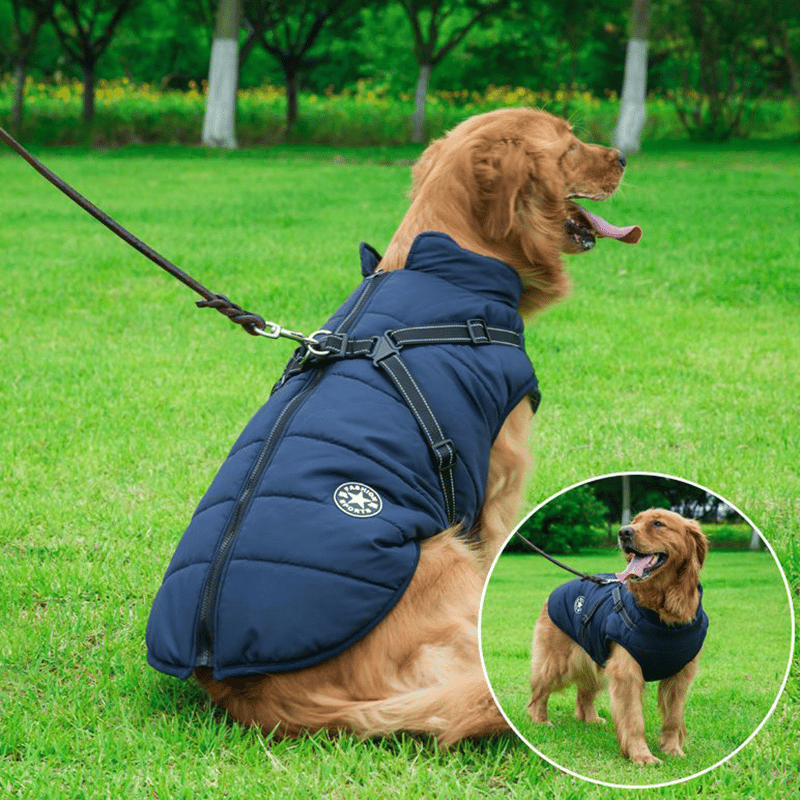 PupGuard - Vinterjakke for Hund med Sele