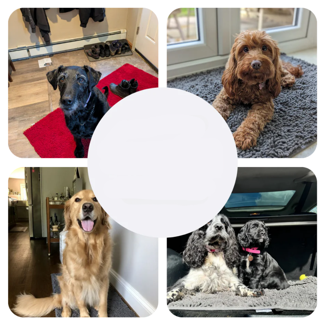 Superabsorberende hundematte – PawMat