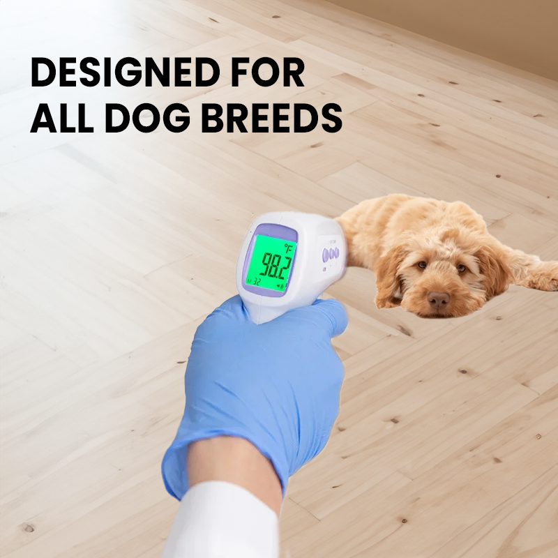Kontaktfritt infrarødt termometer for hund