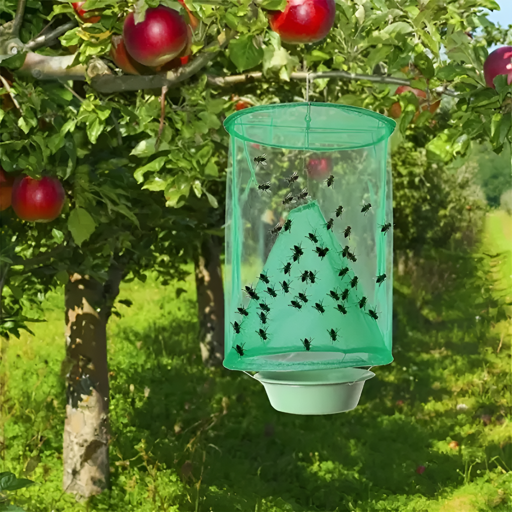 Stackable fly trap