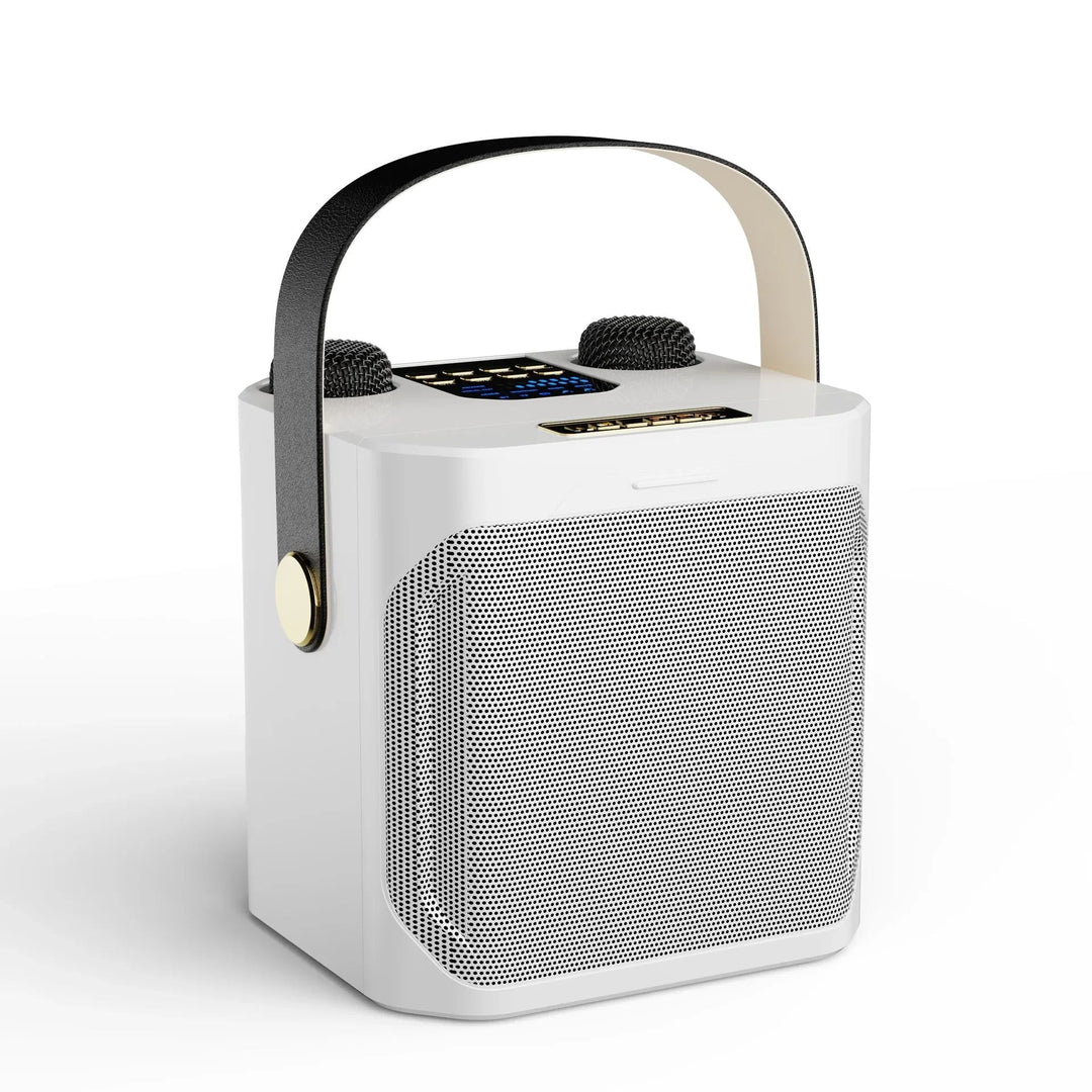 Kraftig Bluetooth Karaoke-Høyttaler – Bærbar Trådløs Subwoofer med 360° Surroundlyd og Dobbel Mikrofon