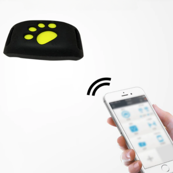 GPS-halsbånd for katt og hund med sanntidssporing