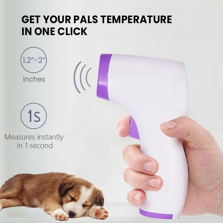 Kontaktfritt infrarødt termometer for hund