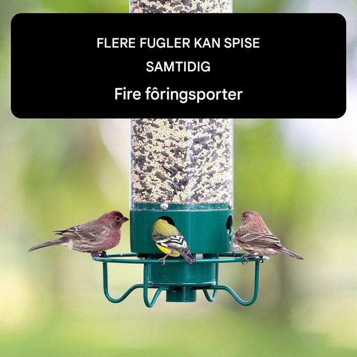 Ekornsicherer Vogelfutterspender