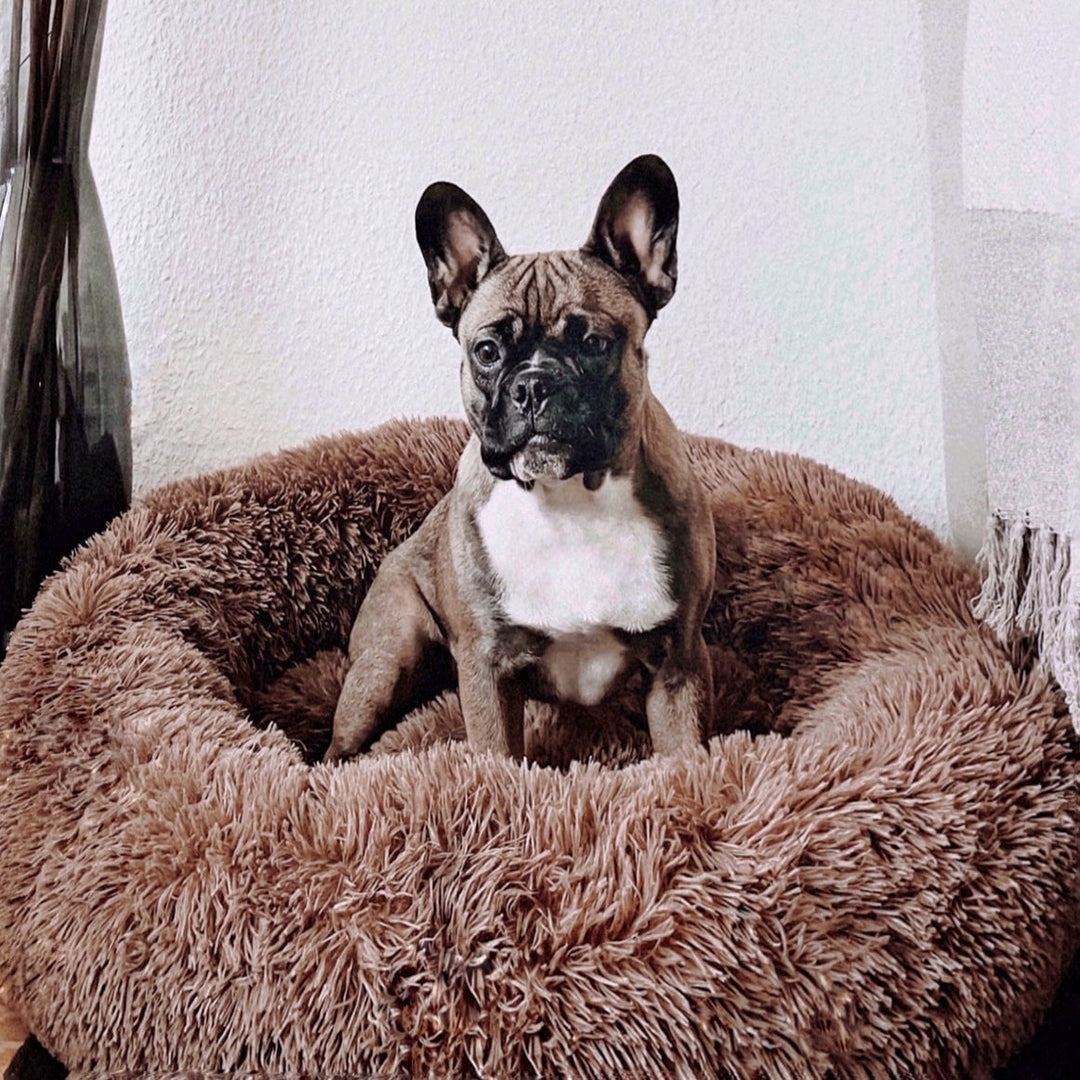 Fluffy Plus hundeseng – Originalen