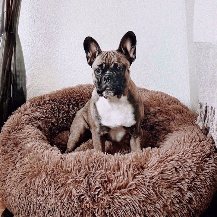 Fluffy Plus hundeseng – Originalen