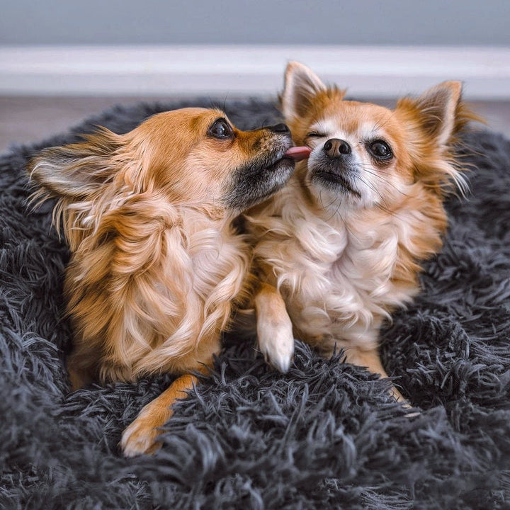 Fluffy Plus hundeseng – Originalen