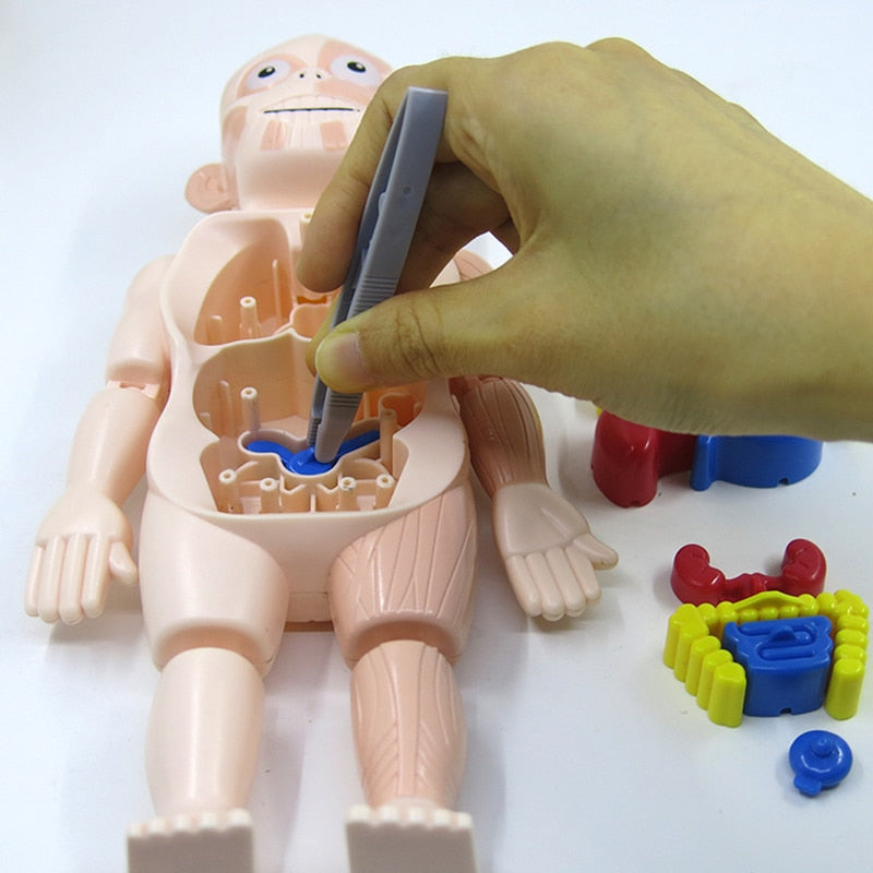 Pedagogisk Anatomisett for Barn – Dr. Bones