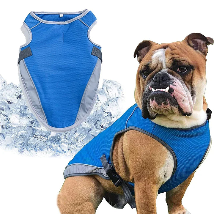 PawLux Ultra-Cool hundevest | Pustende og UV-beskyttende hundejakke for varmt vær