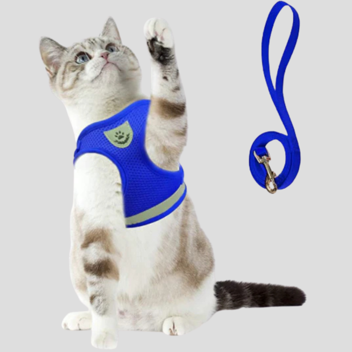 Kattesele med bånd