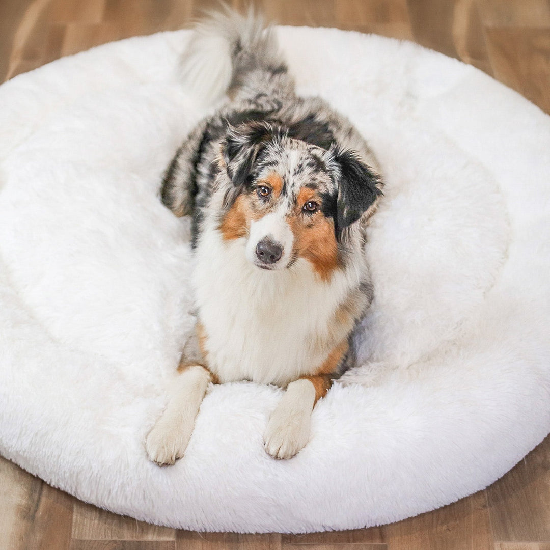 Fluffy Plus hundeseng – Originalen