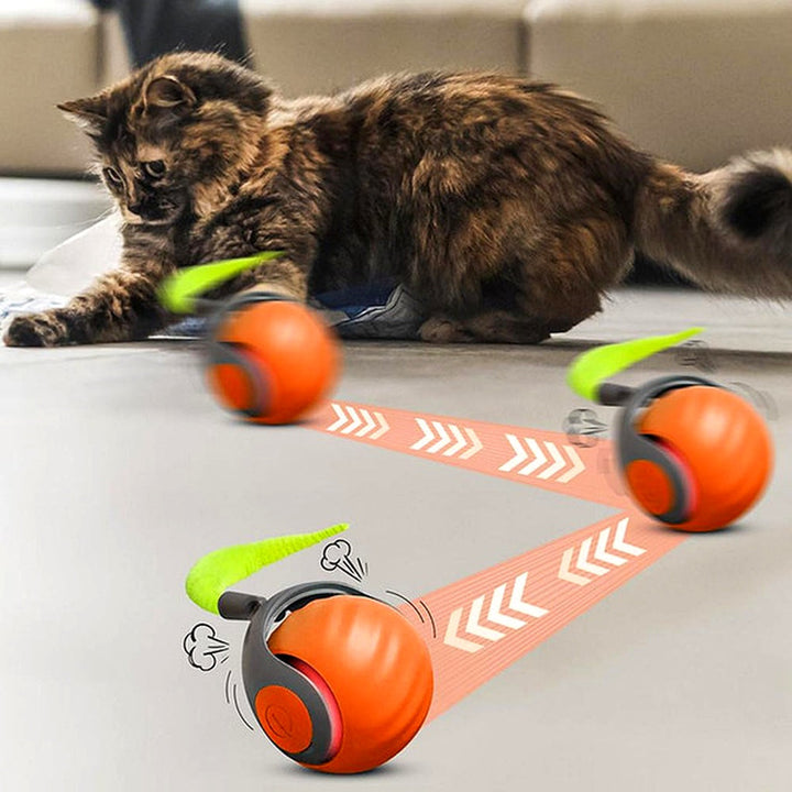 Interaktiv katteball Selvbevegelig rullekule for lek