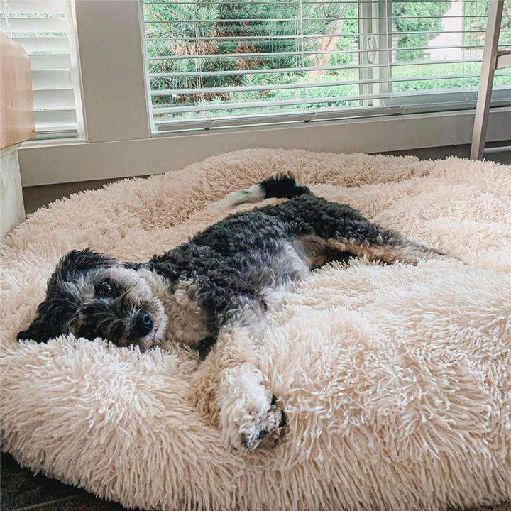 Beroligende anti-stress hundeseng – Nuvio