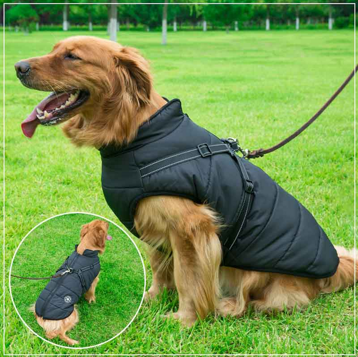 PupGuard - Vinterjakke for Hund med Sele