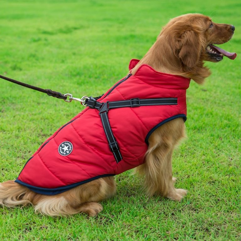 PupGuard - Vinterjakke for Hund med Sele