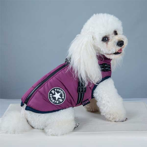 PupGuard - Vinterjakke for Hund med Sele