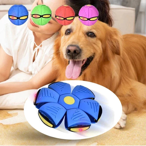 Hundeleke | Uknuselig 2-i-1 Hundeleke | FlitzDisc
