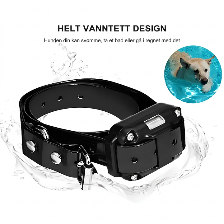 Fjernstyrt dressurhalsbånd til hund