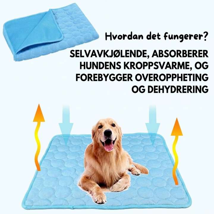 Kjølematte med sklisikker underside – Sommerlig hundeseng