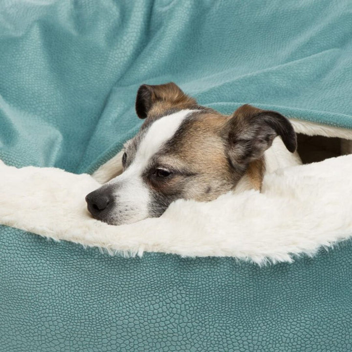 Hundehule med myk pels og hevede kanter