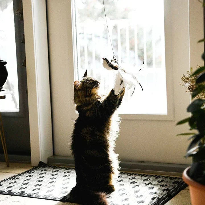 Interaktivt Kattelegetøy - FlutterFriend