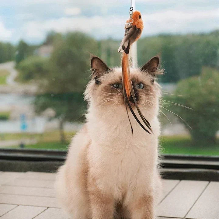 Interaktivt Kattelegetøy - FlutterFriend