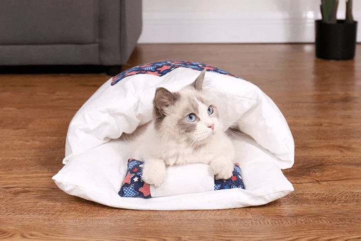 Vintersovepose for katter – SnugKitty Frost Magic