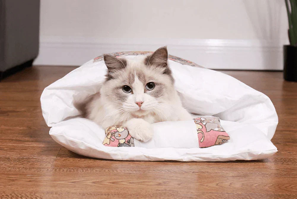 Vintersovepose for katter – SnugKitty Frost Magic