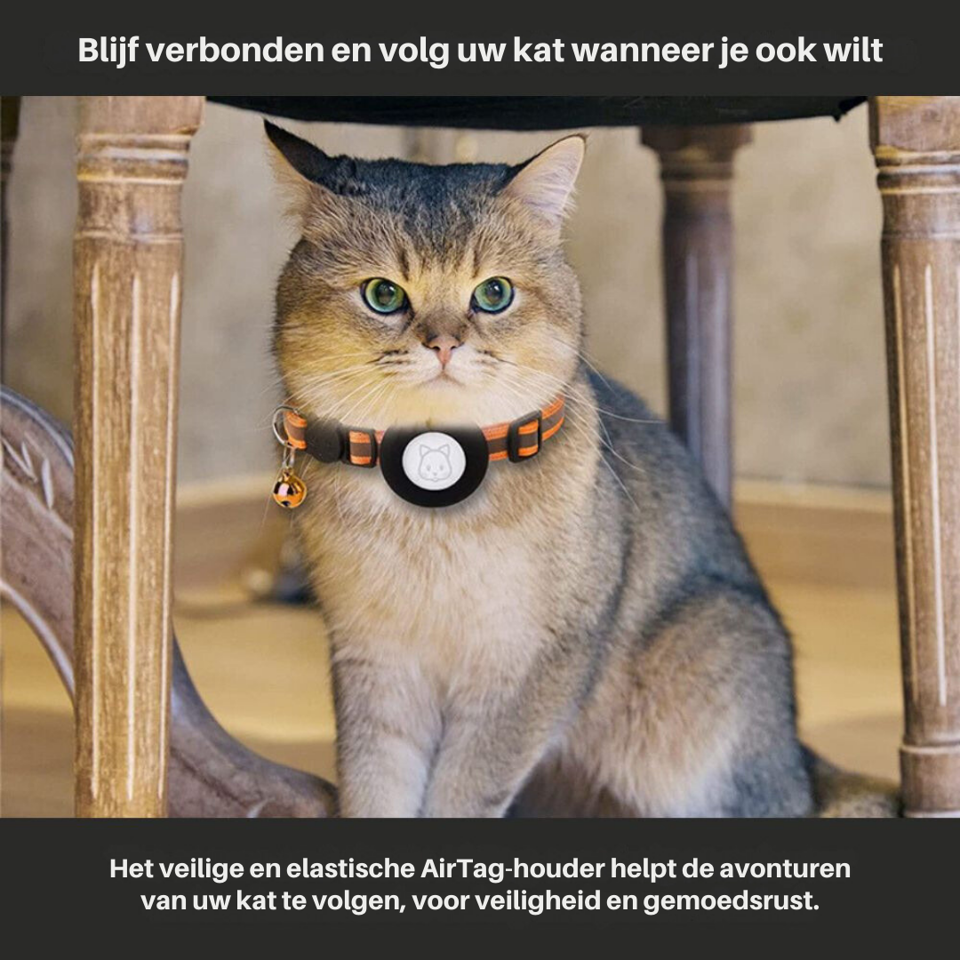 Kattehalsbånd med sikkerhetslås - Milo