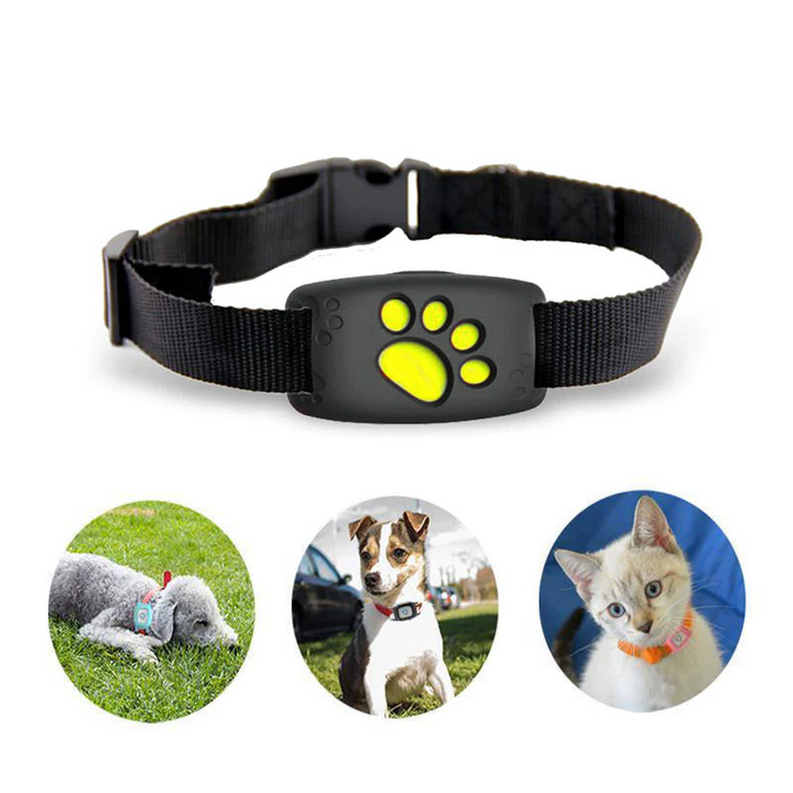 GPS-halsbånd for katt og hund med sanntidssporing