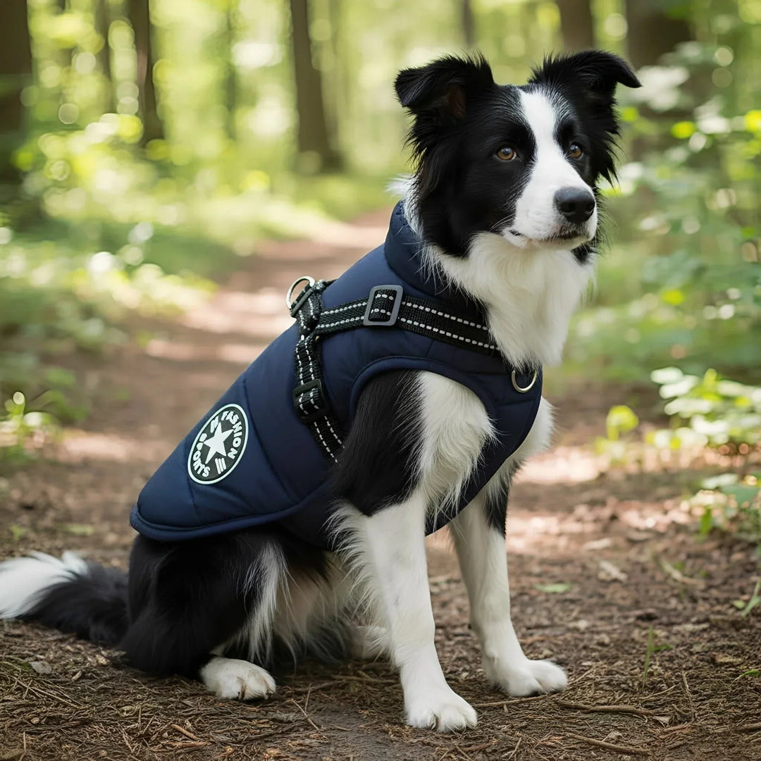 Vinterdekken til hund med integrert sele, polstret og fôret