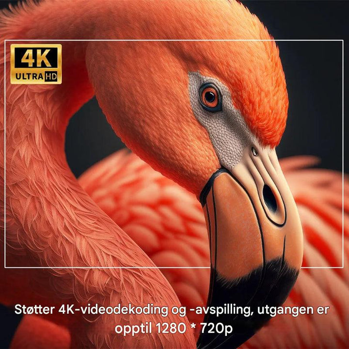 Bærbar utendørs projektor