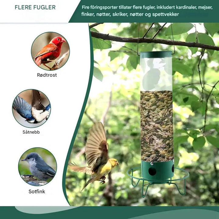 Ekornsicherer Vogelfutterspender