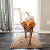 Superabsorberende hundematte – PawMat