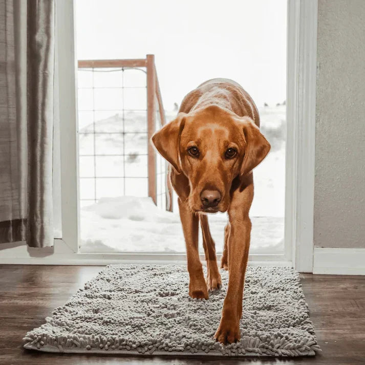 Superabsorberende hundematte – PawMat