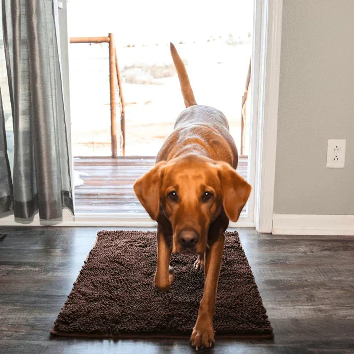 Superabsorberende hundematte – PawMat