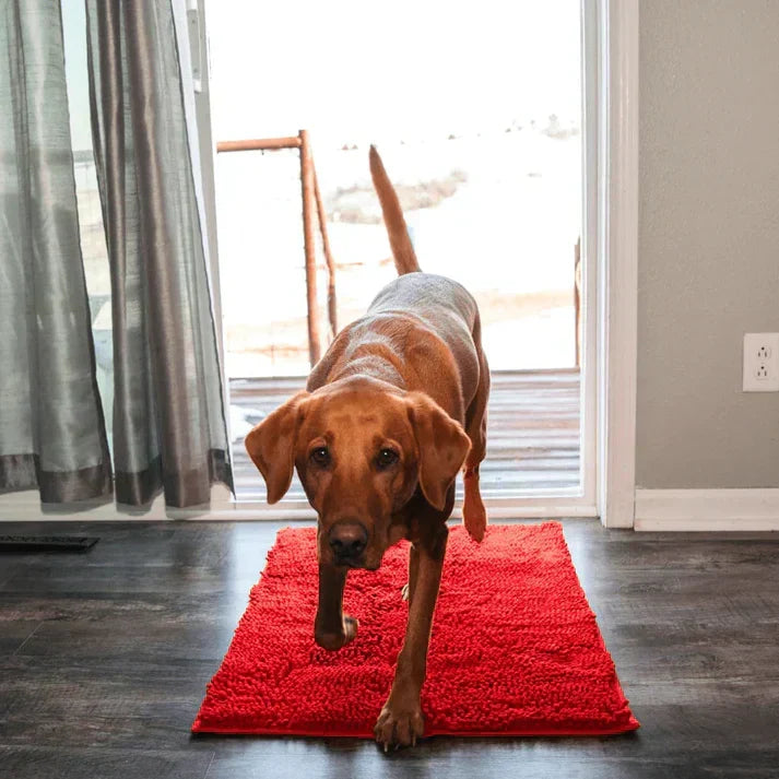 Superabsorberende hundematte – PawMat