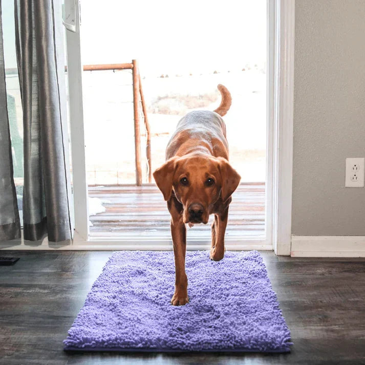 Superabsorberende hundematte – PawMat